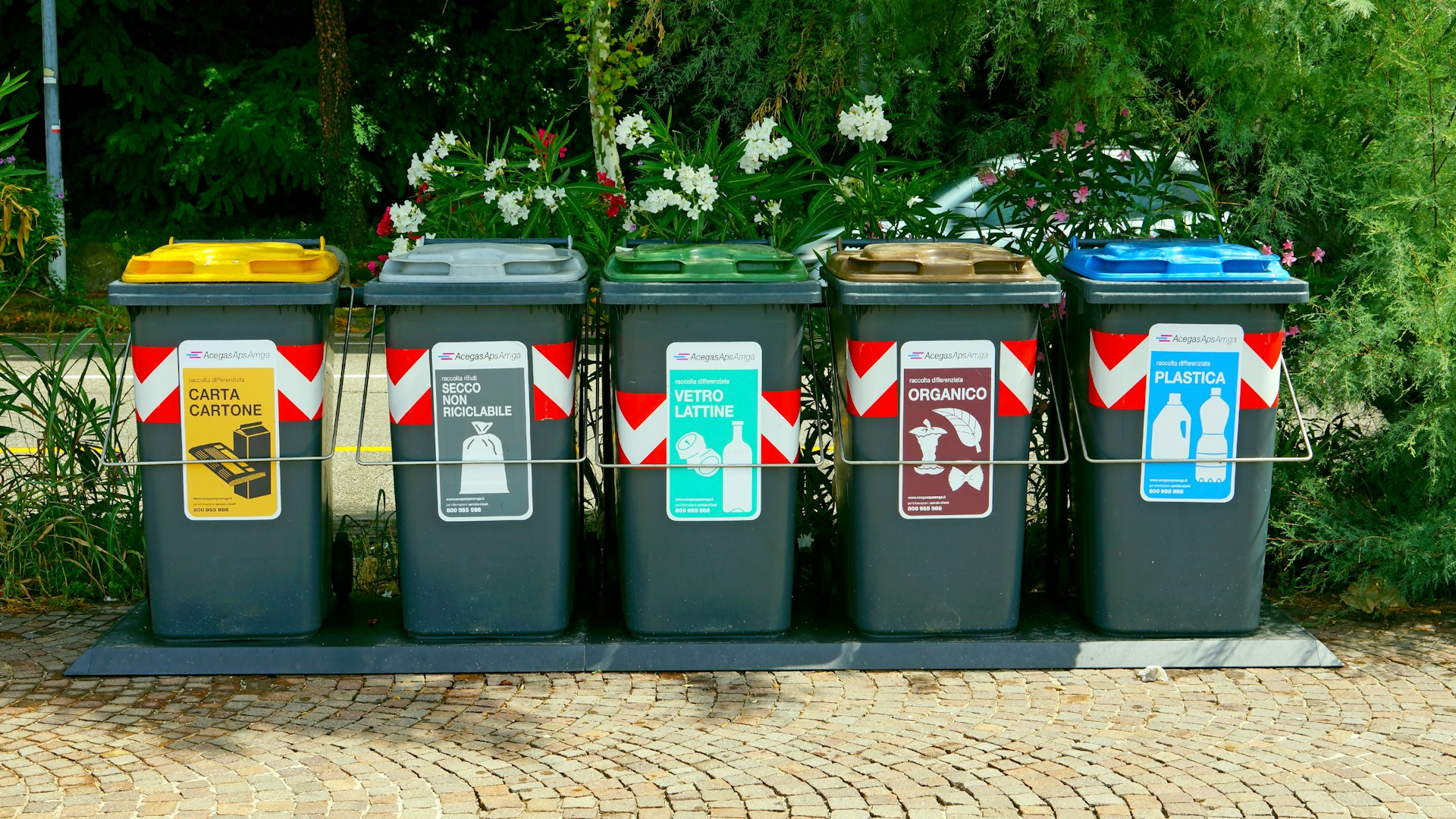 boris-misevic-7M2Ljcw6PHI-unsplash boris-misevic-7M2Ljcw6PHI-unsplash